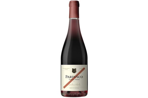 Anselmo Mendes Pardusco 2023