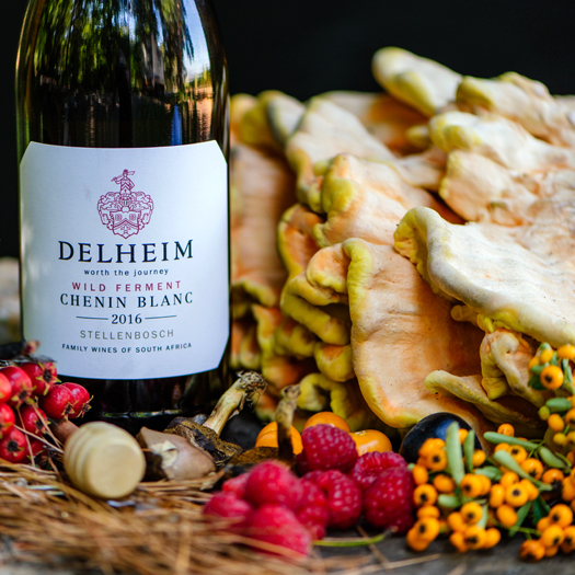 Delheim Wild Ferment Chenin Blanc with wild mushrooms