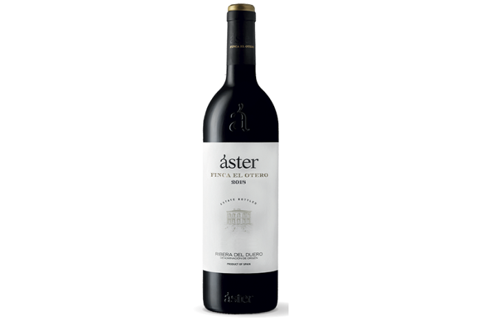 Aster Finca El Otero 2018