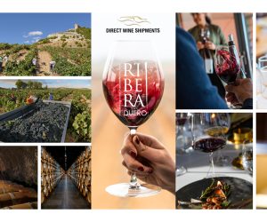Ribera del Duero Celebration Review