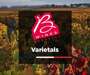 A Guide to the Bordeaux Varietals