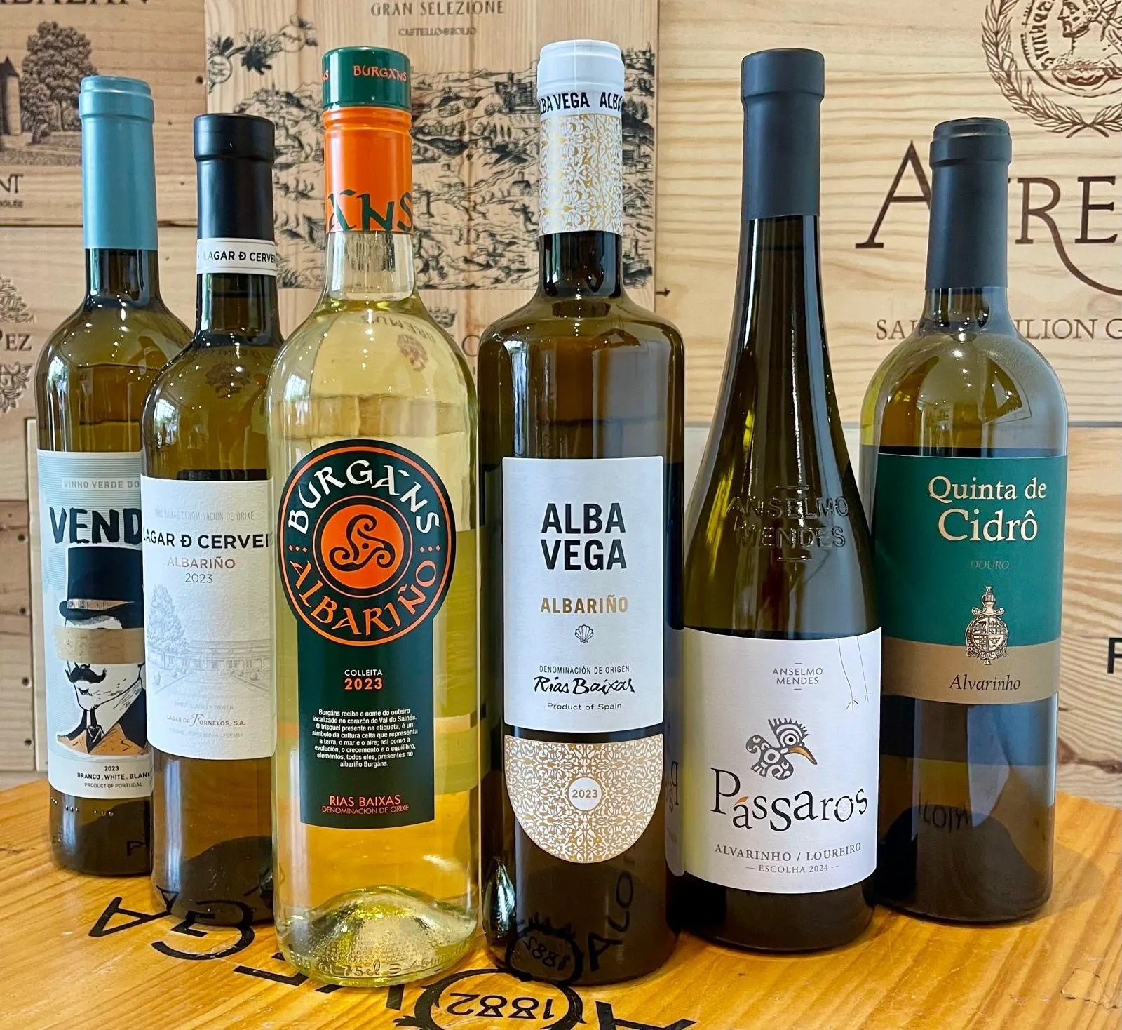 Assorted bottles of white wine displayed on a wooden table.