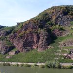 Weinb.Praelat 150x150 1