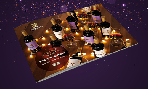 dws xmas brochure 500px 1023